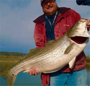 Cumberland River in Tennessee - StriperFun Guide Service