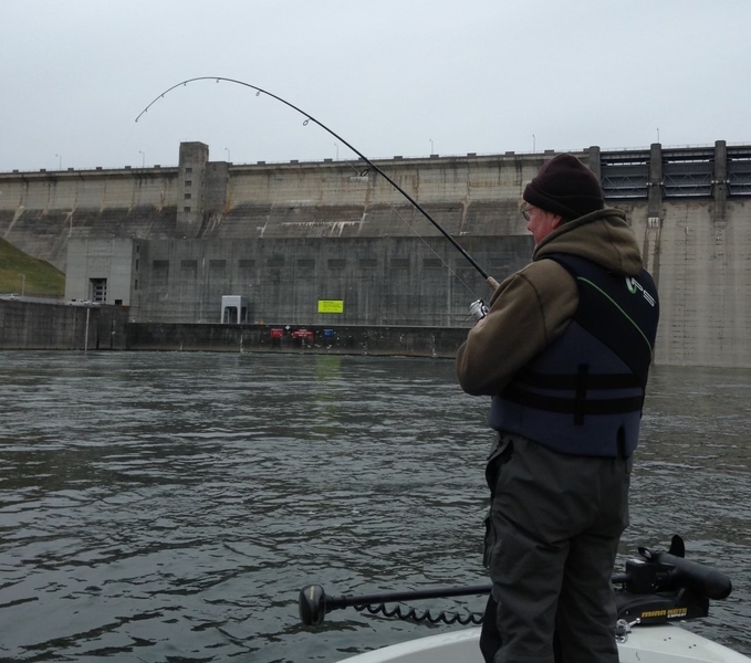 Trout fishing below the Lake Cumberland Dam - StriperFun Guide Service