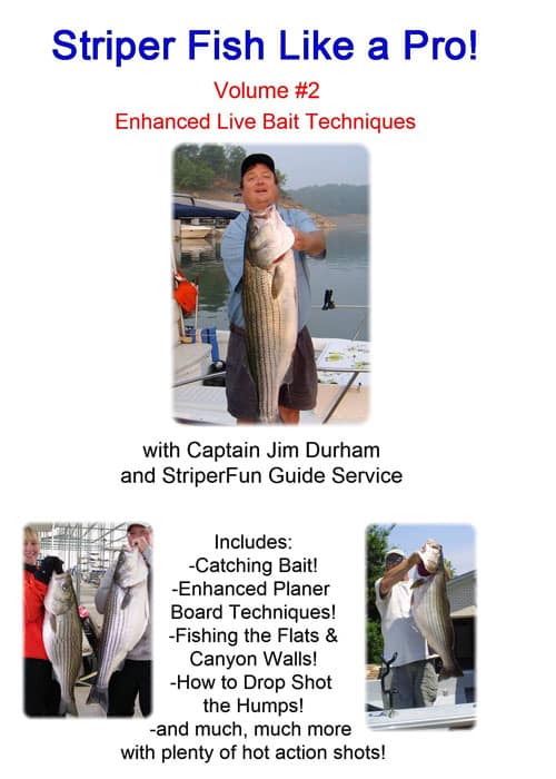 Striper Fish Like a Pro Volume 2 Enhanced Live Bait StriperFun